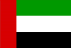 UAE 국기